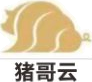 猪哥云